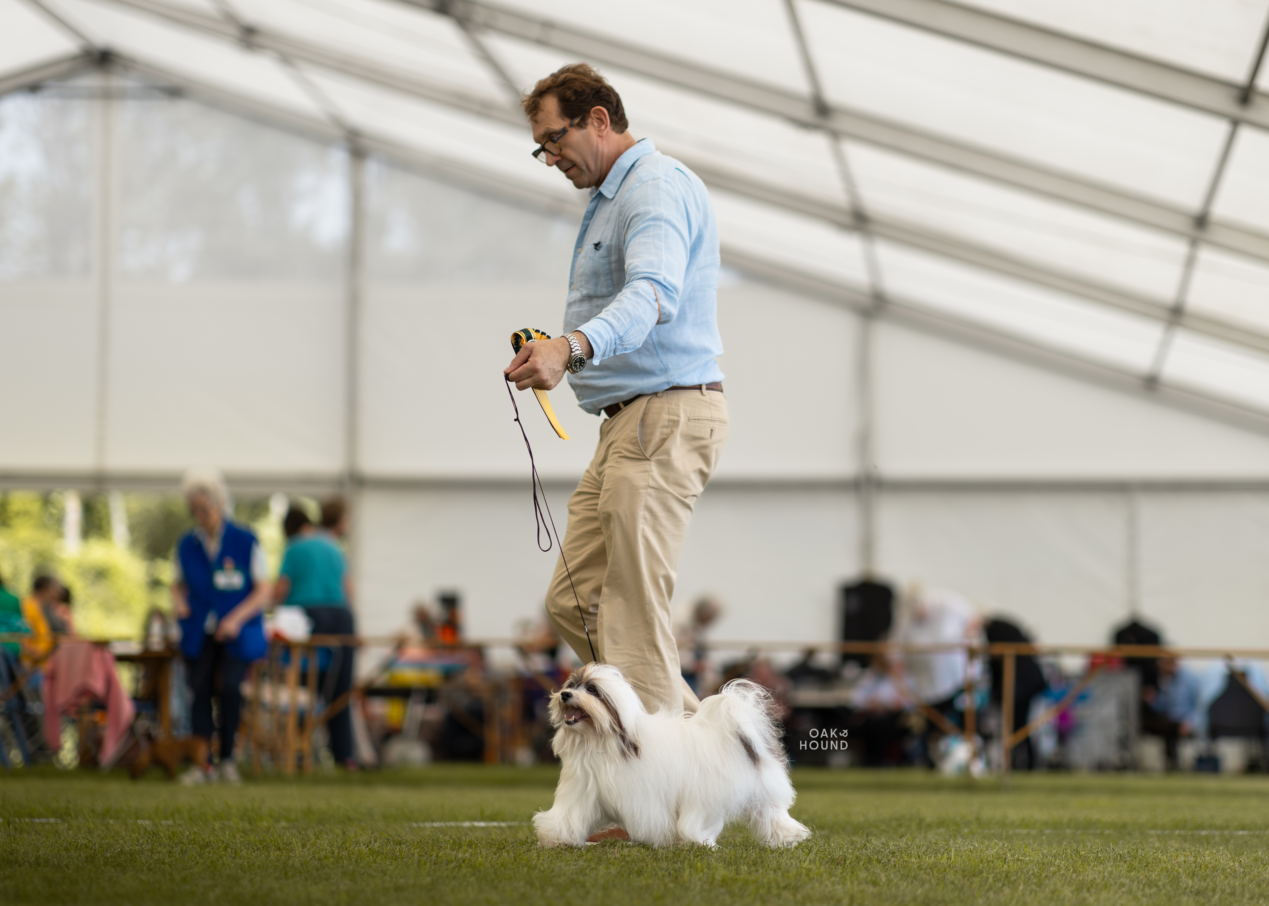 Bobbi in the show ring