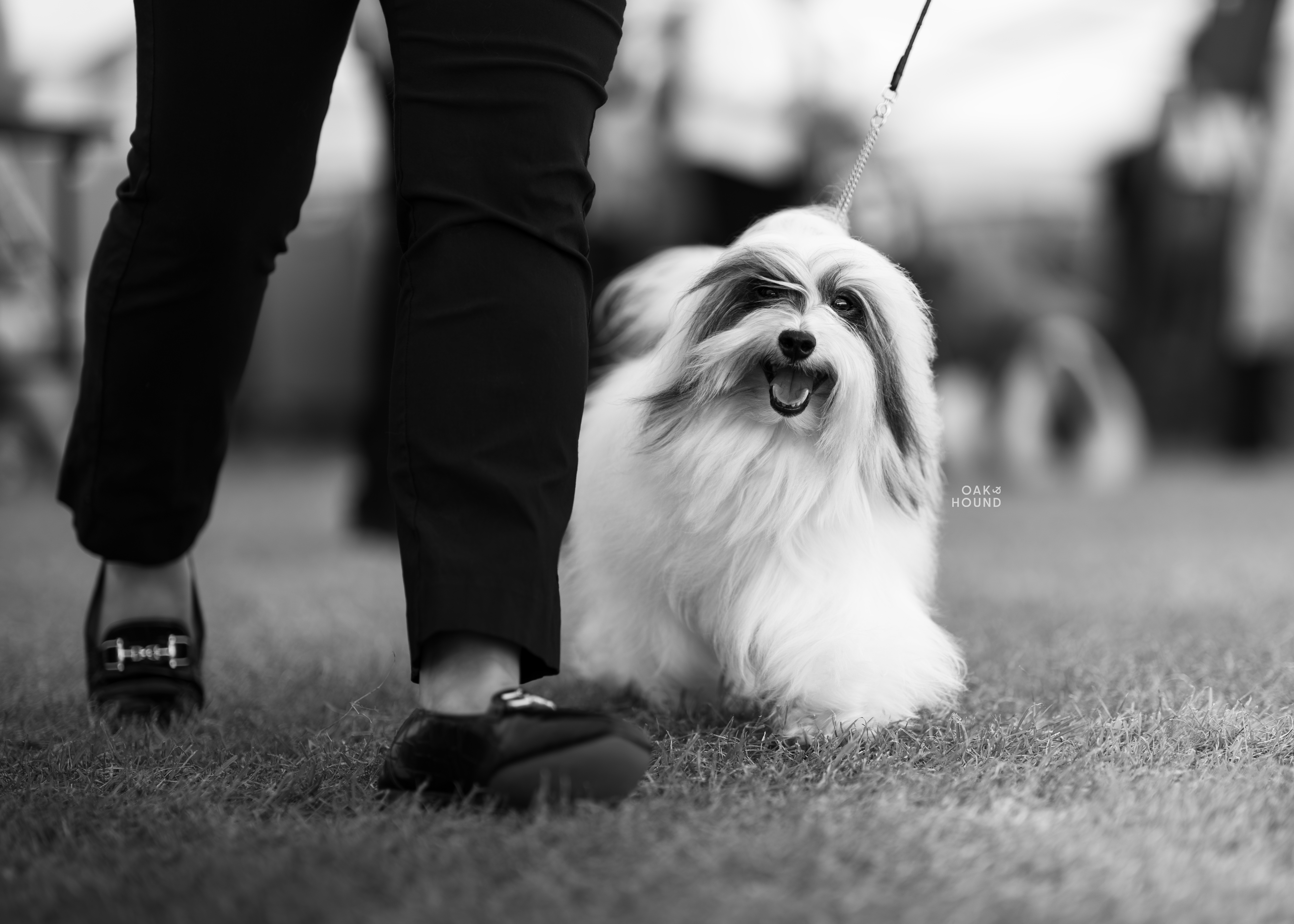 Bobbi – black and white