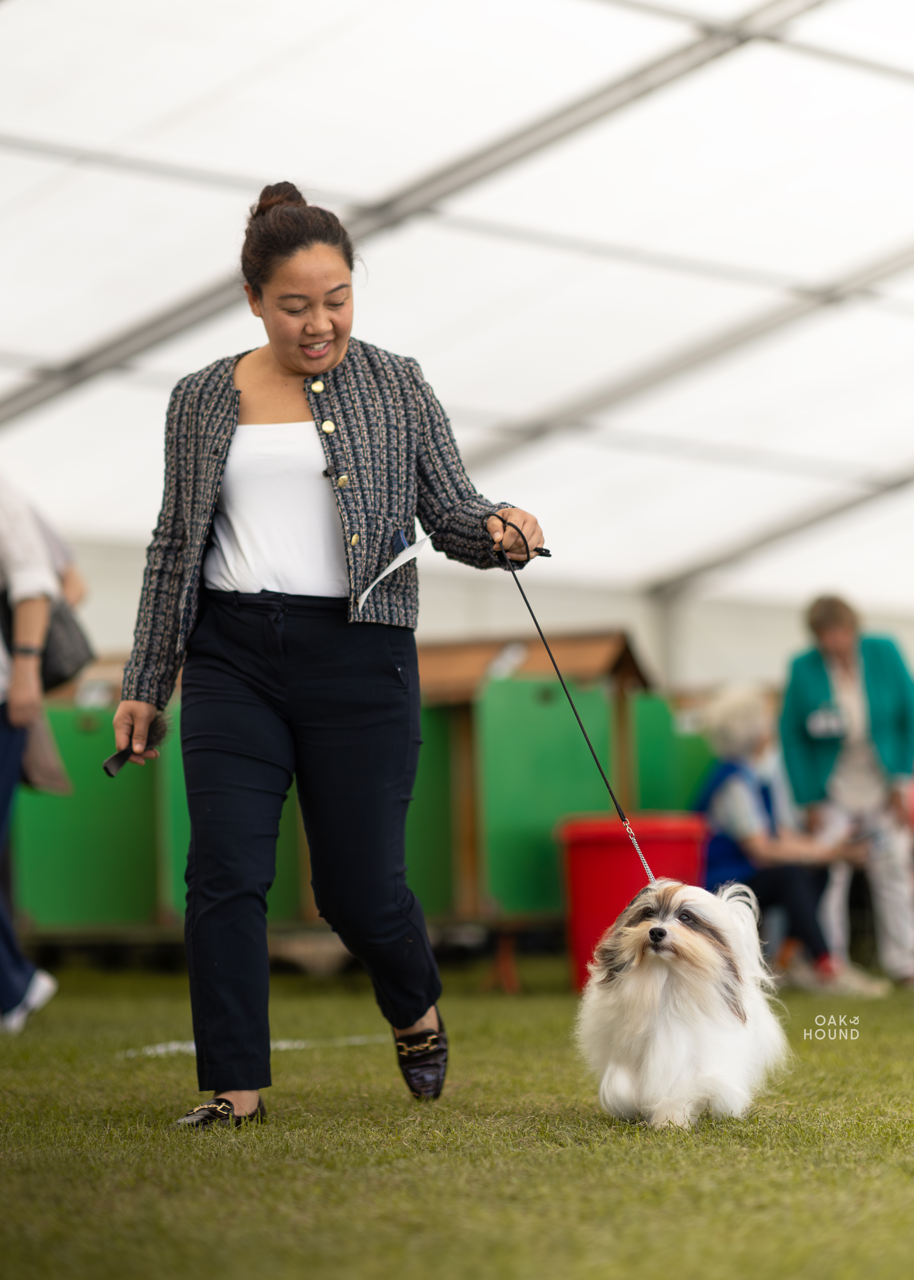 Bobbi with handler