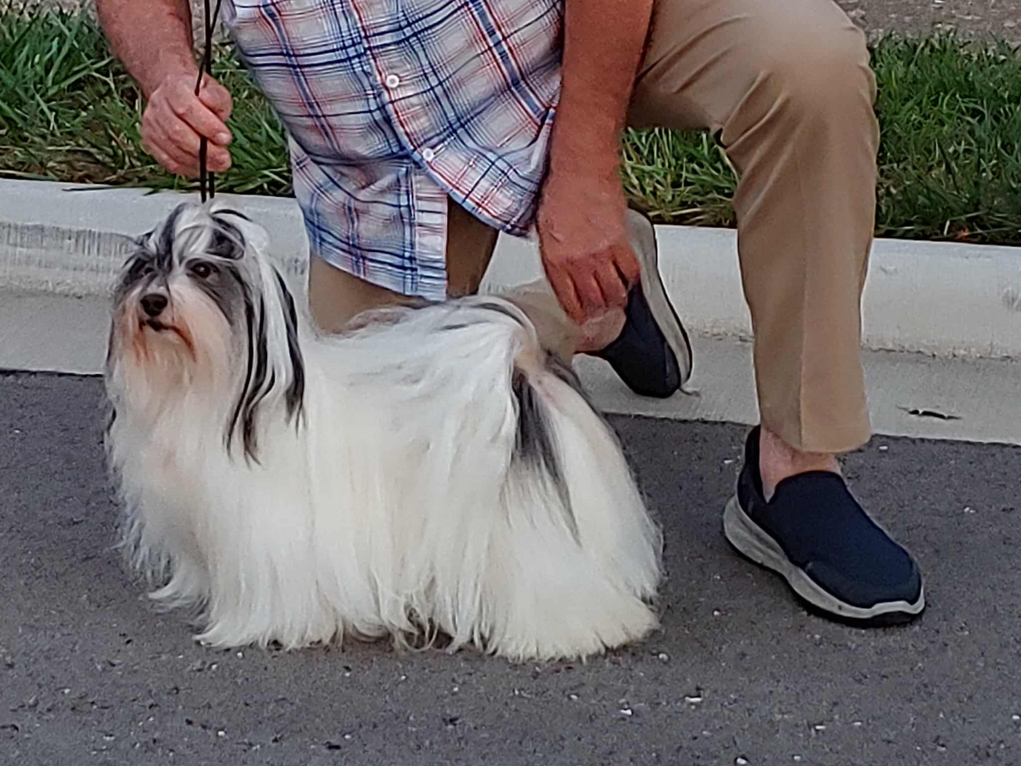Bobbi at a show