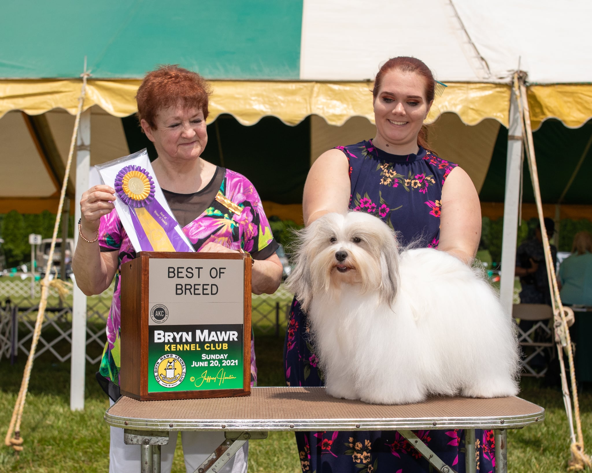 Bobbi – Best of Breed, Bryn Mawr Kennel Club 2021