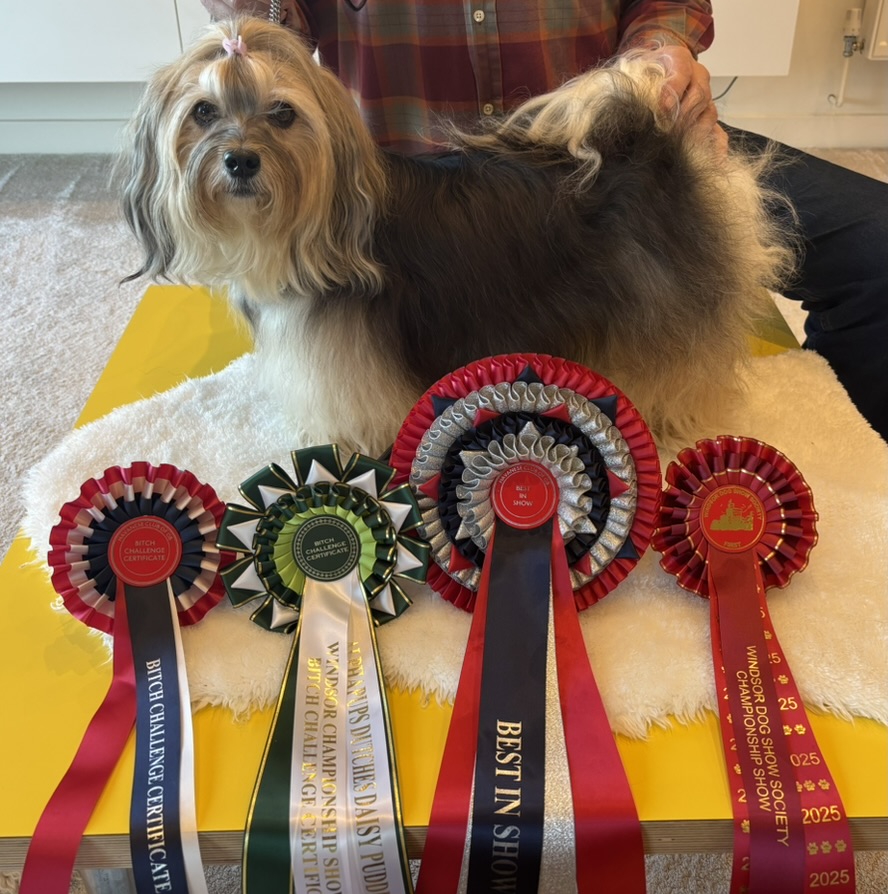 Katie with Best in Show rosette