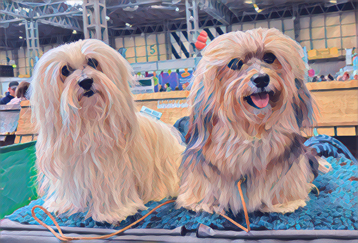 Katie and Baby at Crufts